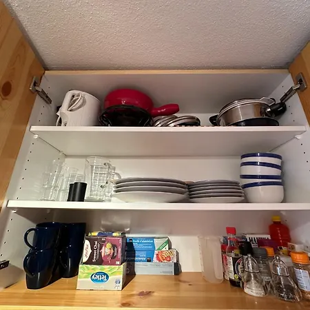 Haus Cresta - Paradise- Swiss Alps 公寓 采尔马特